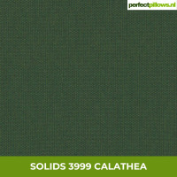 SOLIDS 3999 CALATHEA